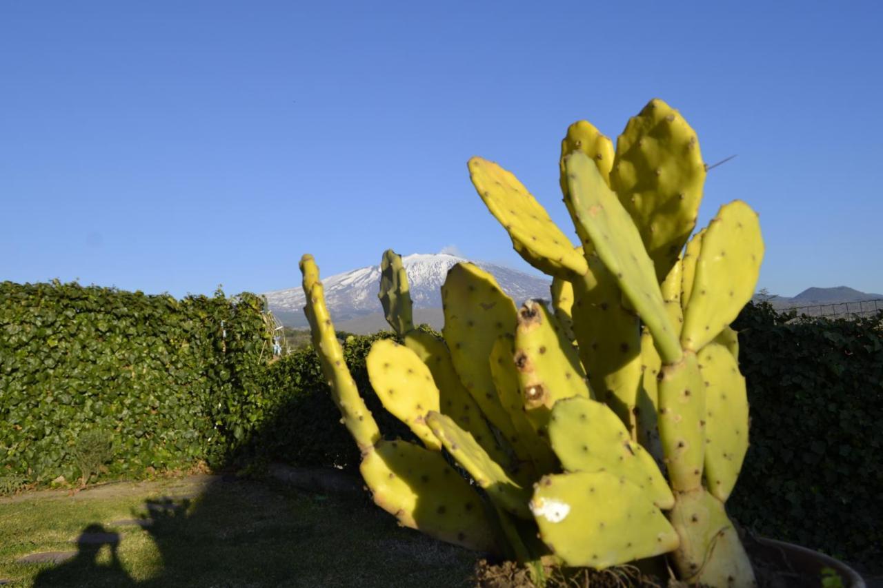 Bed and Breakfast Good Morning Etna Bronte Exterior foto